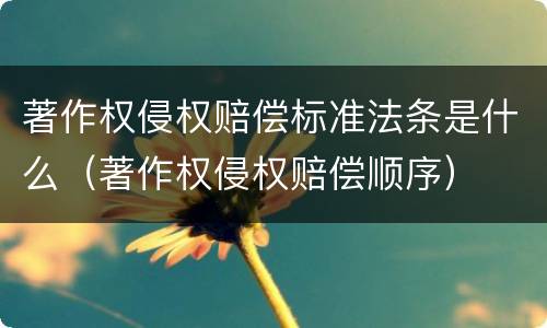 著作权侵权赔偿标准法条是什么（著作权侵权赔偿顺序）
