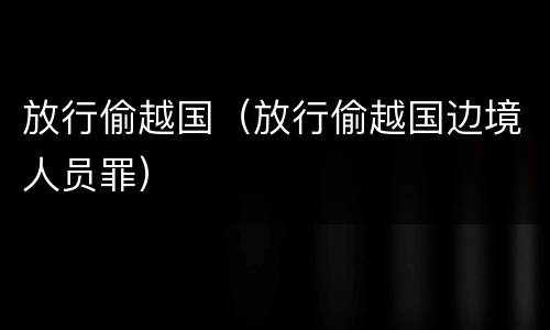 放行偷越国（放行偷越国边境人员罪）