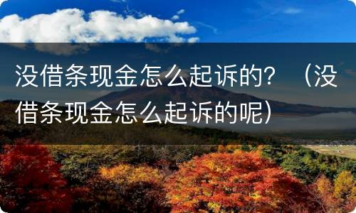 没借条现金怎么起诉的？（没借条现金怎么起诉的呢）