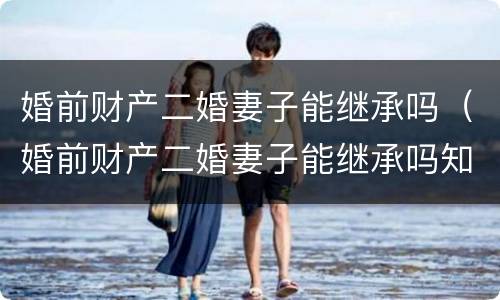 婚前财产二婚妻子能继承吗（婚前财产二婚妻子能继承吗知乎）