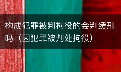 构成犯罪被判拘役的会判缓刑吗（因犯罪被判处拘役）