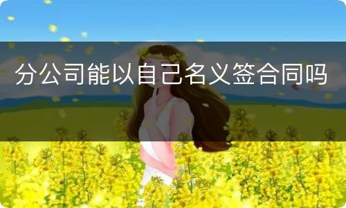 分公司能以自己名义签合同吗
