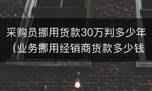 采购员挪用货款30万判多少年（业务挪用经销商货款多少钱可以判罪）