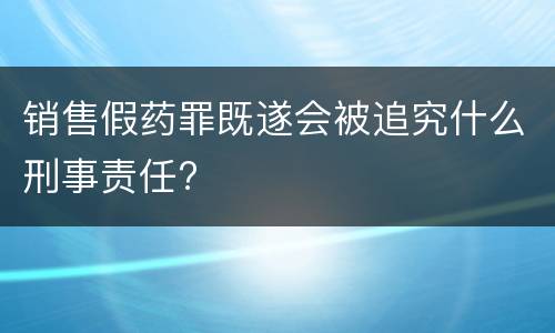 销售假药罪既遂会被追究什么刑事责任?