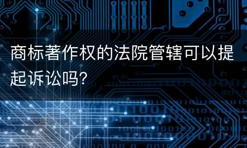 商标著作权的法院管辖可以提起诉讼吗？