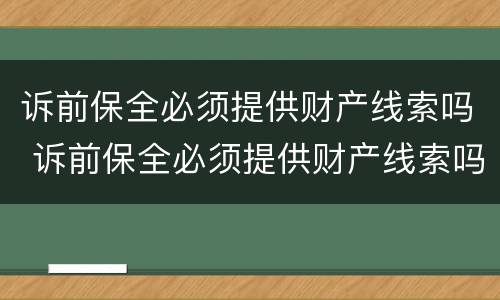 诉前保全必须提供财产线索吗 诉前保全必须提供财产线索吗?