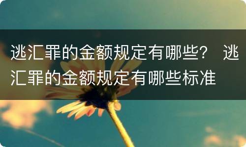 逃汇罪的金额规定有哪些？ 逃汇罪的金额规定有哪些标准