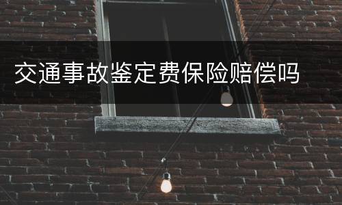 交通事故鉴定费保险赔偿吗