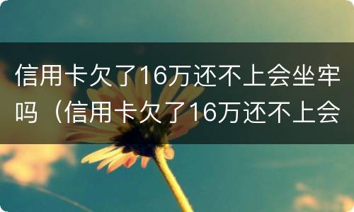 信用卡欠了16万还不上会坐牢吗（信用卡欠了16万还不上会坐牢吗怎么办）