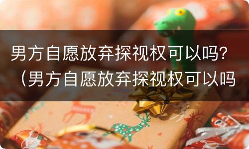 男方自愿放弃探视权可以吗？（男方自愿放弃探视权可以吗）