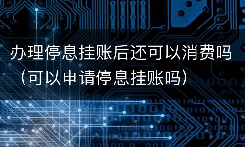 办理停息挂账后还可以消费吗（可以申请停息挂账吗）