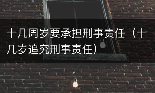 十几周岁要承担刑事责任（十几岁追究刑事责任）