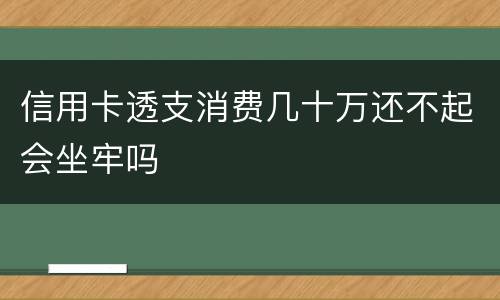 信用卡透支消费几十万还不起会坐牢吗