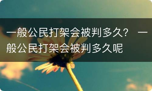 一般公民打架会被判多久？ 一般公民打架会被判多久呢