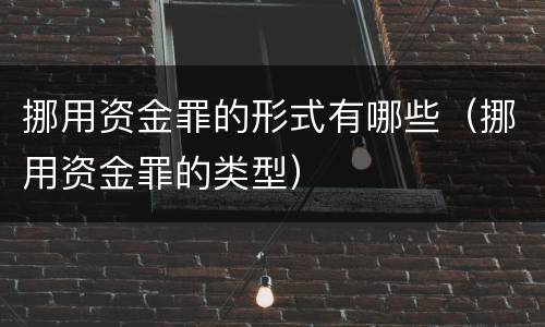 挪用资金罪的形式有哪些（挪用资金罪的类型）