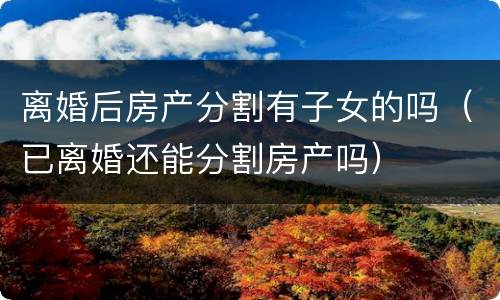 离婚后房产分割有子女的吗（已离婚还能分割房产吗）