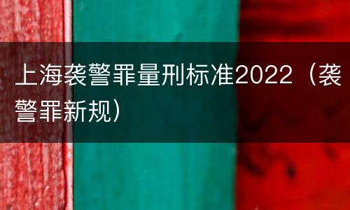 上海袭警罪量刑标准2022（袭警罪新规）