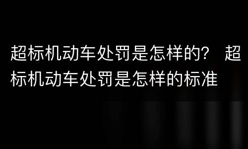 超标机动车处罚是怎样的？ 超标机动车处罚是怎样的标准