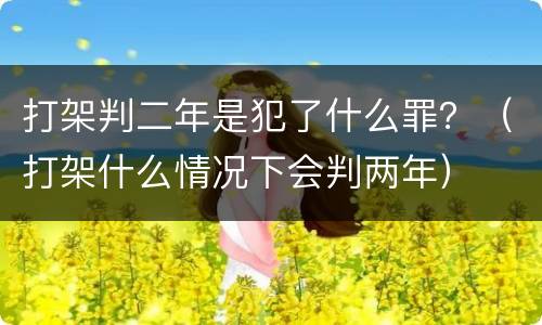 打架判二年是犯了什么罪？（打架什么情况下会判两年）