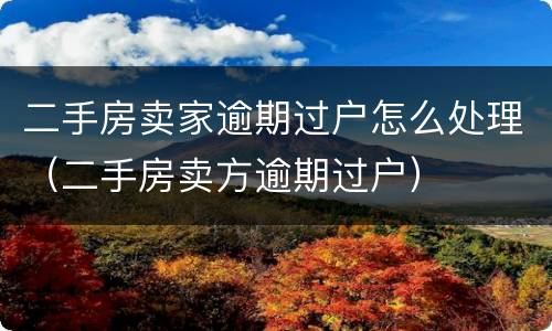 二手房卖家逾期过户怎么处理（二手房卖方逾期过户）