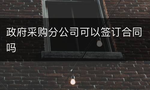 政府采购分公司可以签订合同吗