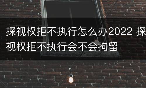 探视权拒不执行怎么办2022 探视权拒不执行会不会拘留