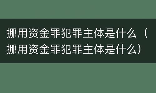 挪用资金罪犯罪主体是什么（挪用资金罪犯罪主体是什么）