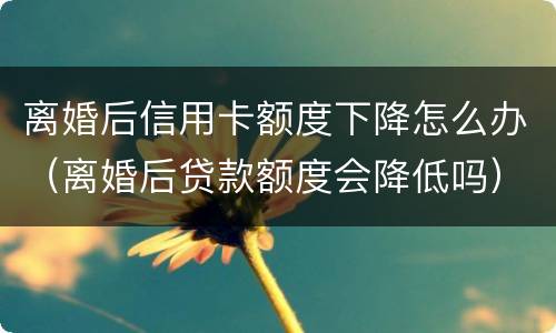 离婚后信用卡额度下降怎么办（离婚后贷款额度会降低吗）