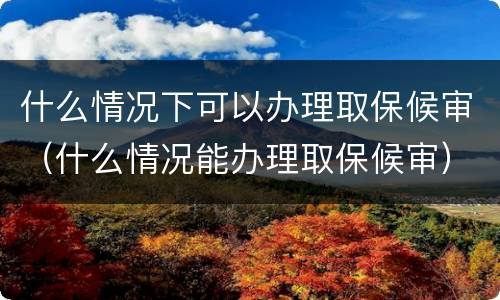 什么情况下可以办理取保候审（什么情况能办理取保候审）