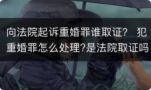 向法院起诉重婚罪谁取证？ 犯重婚罪怎么处理?是法院取证吗?