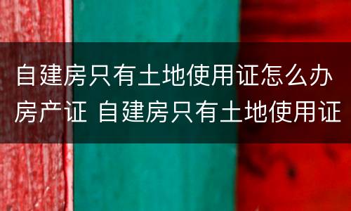 自建房只有土地使用证怎么办房产证 自建房只有土地使用证可以买卖吗