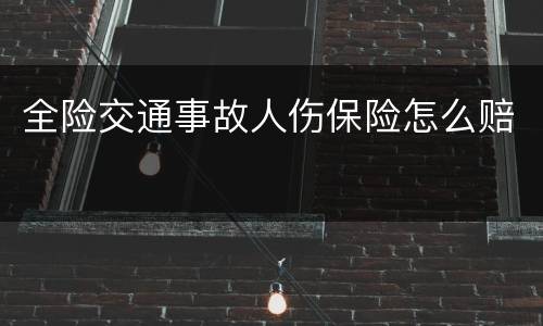 全险交通事故人伤保险怎么赔