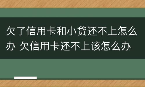 欠了信用卡和小贷还不上怎么办 欠信用卡还不上该怎么办