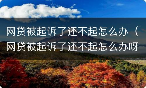 网贷被起诉了还不起怎么办（网贷被起诉了还不起怎么办呀）
