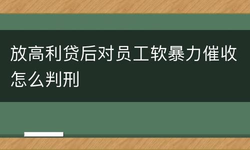 放高利贷后对员工软暴力催收怎么判刑