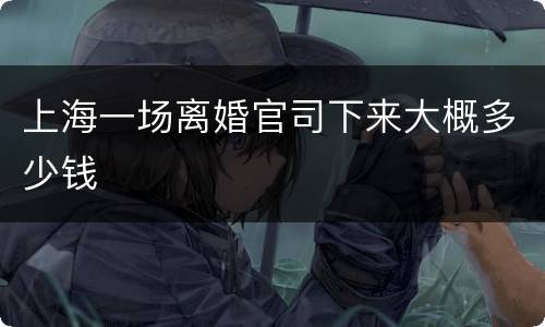 上海一场离婚官司下来大概多少钱