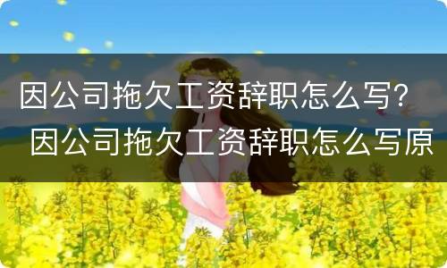 因公司拖欠工资辞职怎么写？ 因公司拖欠工资辞职怎么写原因