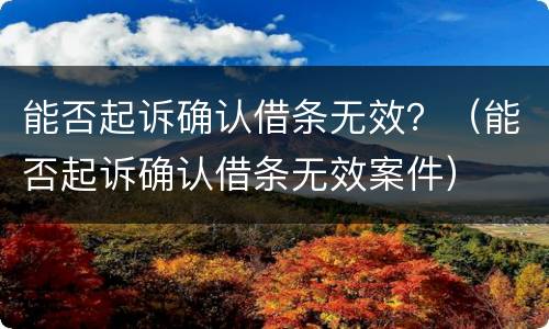 能否起诉确认借条无效？（能否起诉确认借条无效案件）