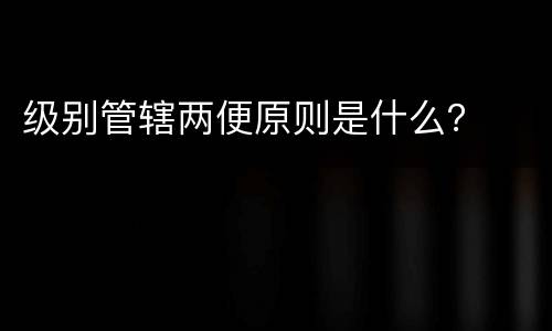 级别管辖两便原则是什么？