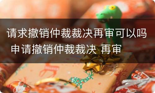 请求撤销仲裁裁决再审可以吗 申请撤销仲裁裁决 再审