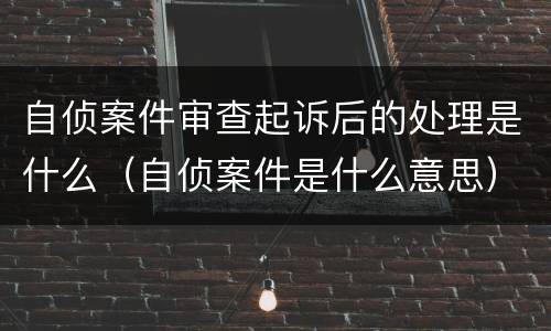 自侦案件审查起诉后的处理是什么（自侦案件是什么意思）