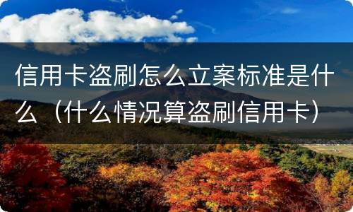信用卡盗刷怎么立案标准是什么（什么情况算盗刷信用卡）