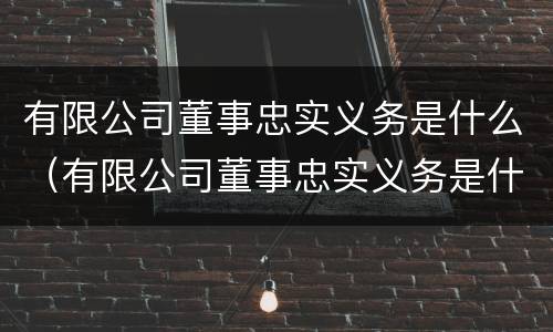 有限公司董事忠实义务是什么（有限公司董事忠实义务是什么意思）