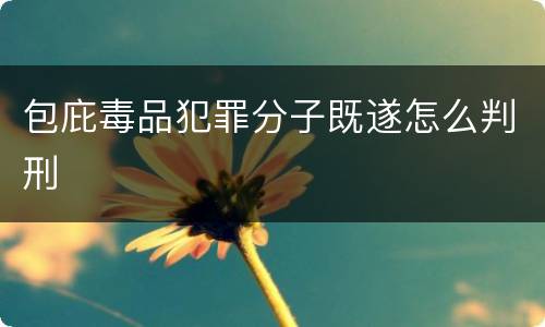 包庇毒品犯罪分子既遂怎么判刑