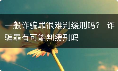 一般诈骗罪很难判缓刑吗？ 诈骗罪有可能判缓刑吗