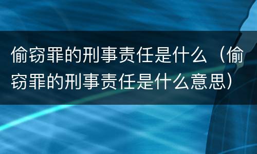 偷窃罪的刑事责任是什么（偷窃罪的刑事责任是什么意思）