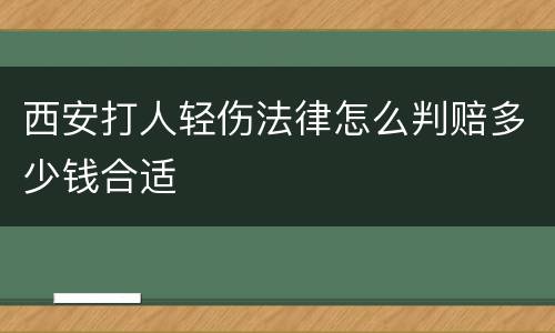 西安打人轻伤法律怎么判赔多少钱合适