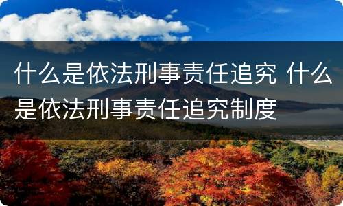什么是依法刑事责任追究 什么是依法刑事责任追究制度