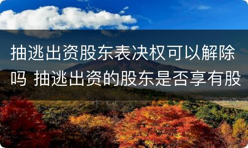 抽逃出资股东表决权可以解除吗 抽逃出资的股东是否享有股东权利