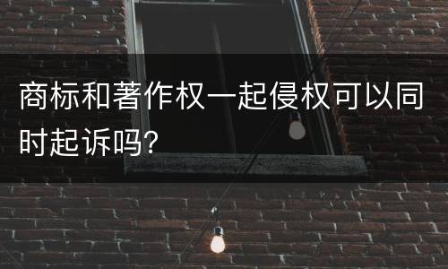 商标和著作权一起侵权可以同时起诉吗？